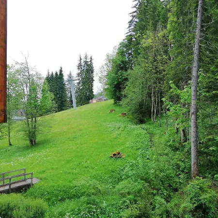 1100: T3, 7 Pers, Animaux Admis, Parking, Wifi, 50m Des Pistes - Fr-1-412-15